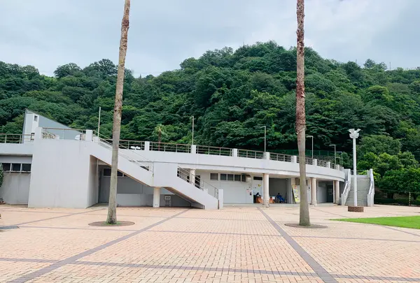 狩留賀海浜公園（ロマンチックビーチかるが）の写真・動画_image_374763