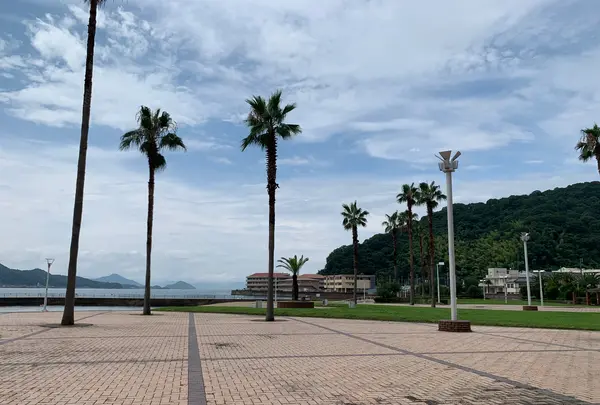 狩留賀海浜公園（ロマンチックビーチかるが）の写真・動画_image_374766