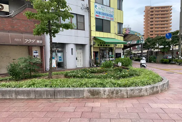 フラワー通りの写真・動画_image_374825