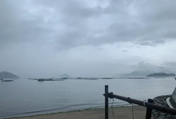江田島の写真・動画_image_374857