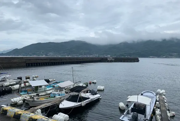 江田島の写真・動画_image_374860