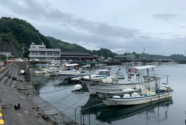 江田島の写真・動画_image_374861