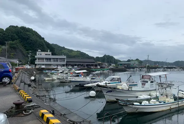 江田島の写真・動画_image_374862
