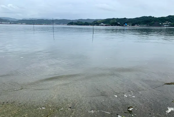 江田島の写真・動画_image_374864