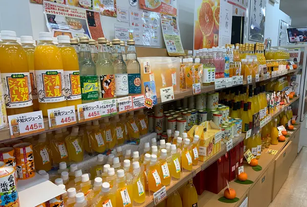 えひめ愛顔（えがお）の観光物産館の写真・動画_image_374941