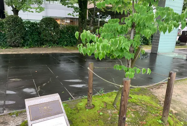 平和の門の写真・動画_image_374960