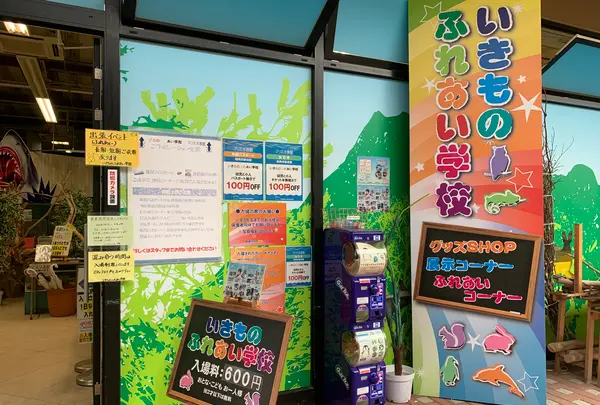 マリーナホップの写真・動画_image_374968