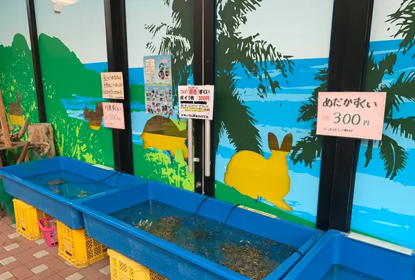 マリーナホップの写真・動画_image_374971