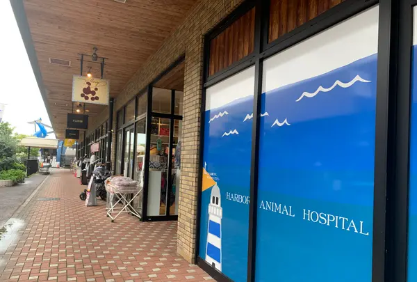 マリーナホップの写真・動画_image_374972