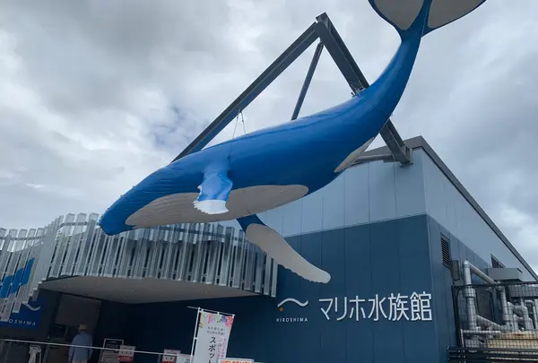 マリーナホップの写真・動画_image_374973