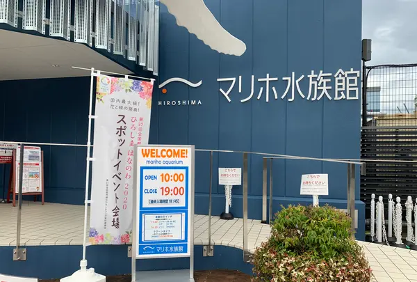 マリーナホップの写真・動画_image_374974