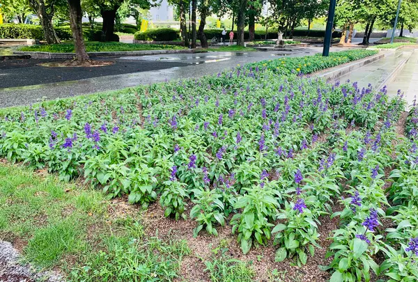 広島市こども文化科学館の写真・動画_image_375014