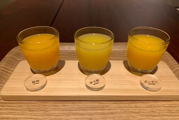 10 FACTORY 松山本店の写真・動画_image_375081