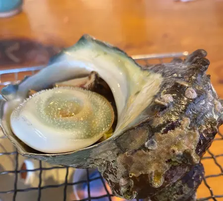 かね八寿しの写真・動画_image_375278