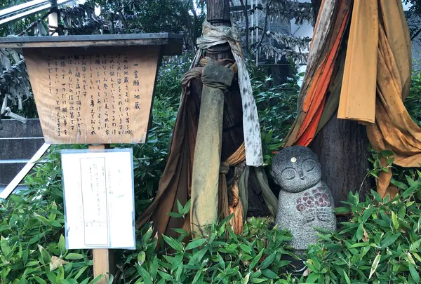 六角堂の写真・動画_image_375486