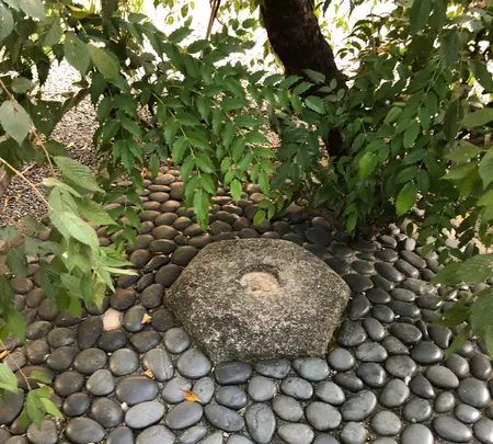 六角堂の写真・動画_image_375493