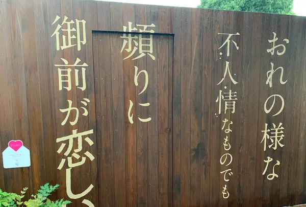 道後温泉 空の散歩道の写真・動画_image_375534