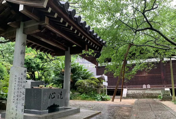 大宝寺の写真・動画_image_375558