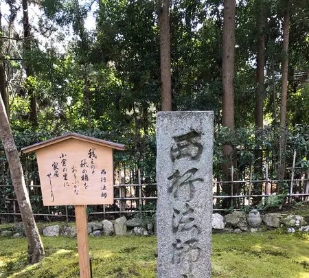 二尊院の写真・動画_image_375566