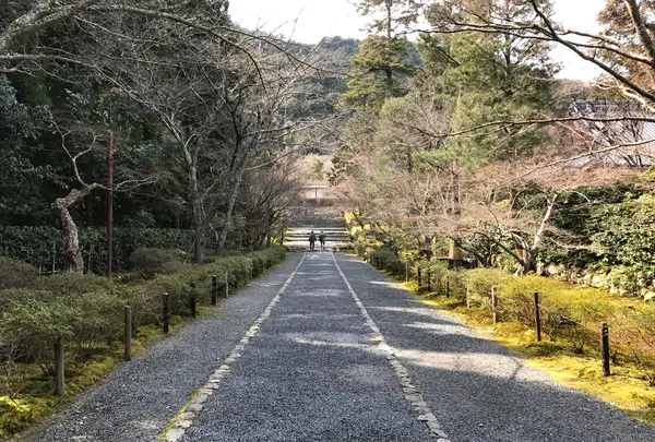 二尊院の写真・動画_image_375568