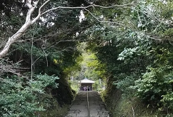 二尊院の写真・動画_image_375573