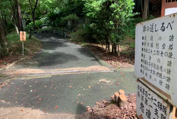 愛媛縣護國神社の写真・動画_image_375708
