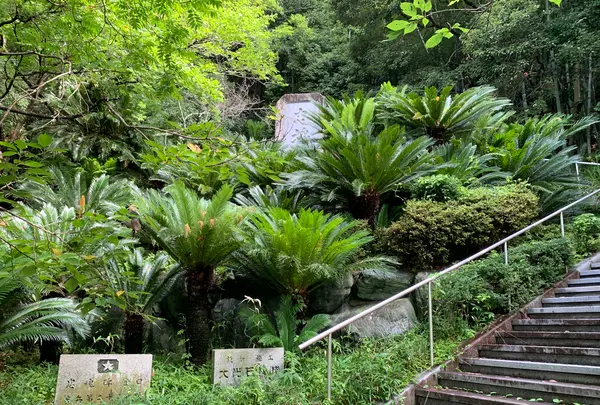 愛媛縣護國神社の写真・動画_image_375710
