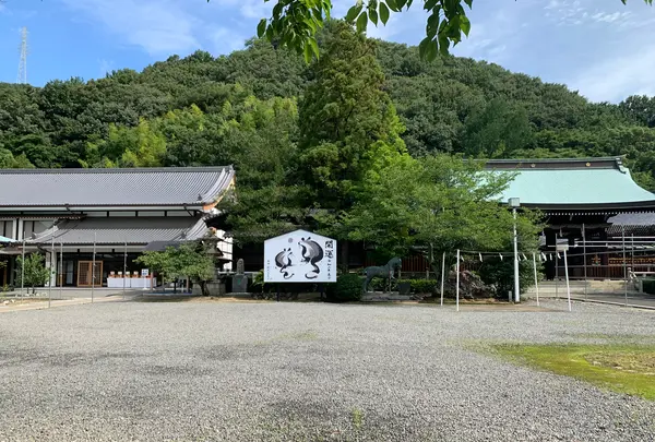 愛媛縣護國神社の写真・動画_image_375714