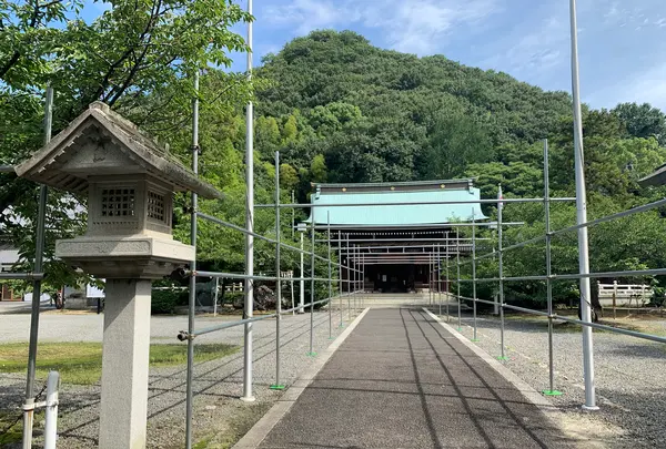 愛媛縣護國神社の写真・動画_image_375716