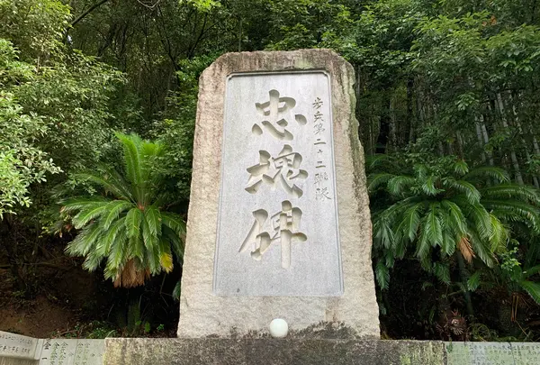 愛媛縣護國神社の写真・動画_image_375722