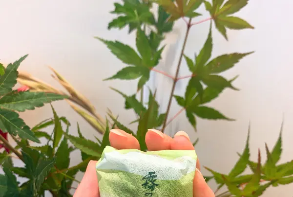 霧の森菓子工房 松山店の写真・動画_image_375724