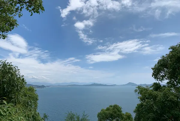鹿島公園展望台の写真・動画_image_375767