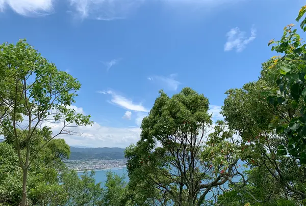 鹿島公園展望台の写真・動画_image_375768