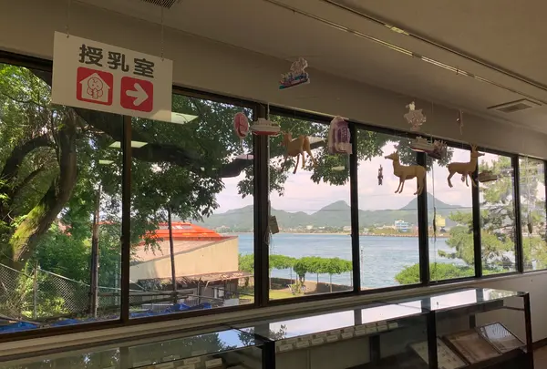 北条鹿島博物展示館の写真・動画_image_375795