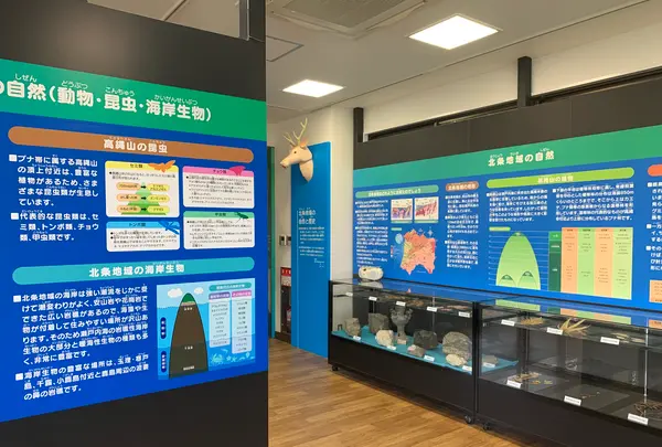 北条鹿島博物展示館の写真・動画_image_375796
