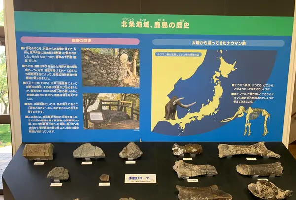 北条鹿島博物展示館の写真・動画_image_375797