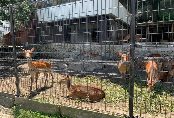 鹿島の写真・動画_image_375826