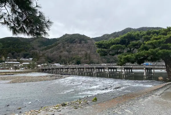 渡月橋の写真・動画_image_375833