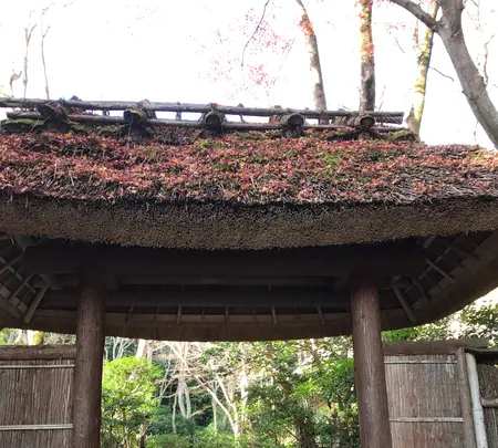 祇王寺の写真・動画_image_375842