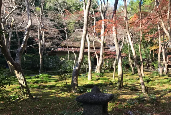 祇王寺の写真・動画_image_375845
