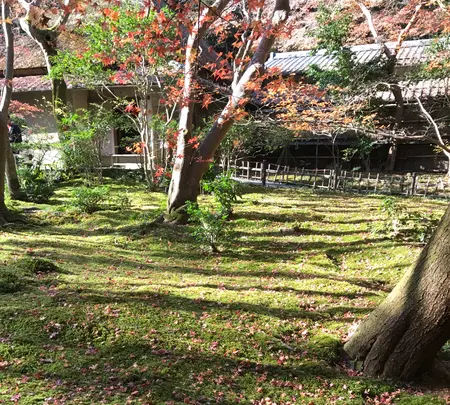 祇王寺の写真・動画_image_375852