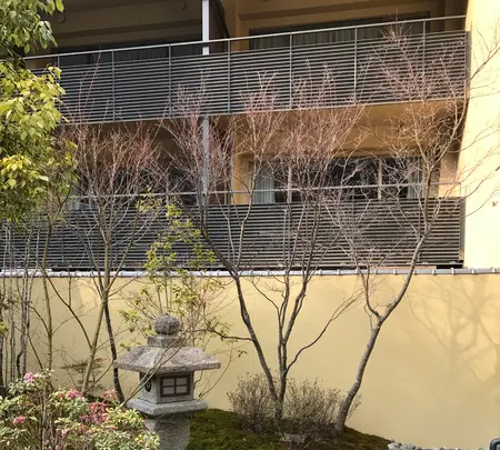 翠嵐 ラグジュアリーコレクションホテル 京都の写真・動画_image_375881