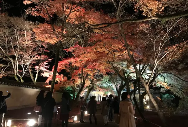 宝厳院の写真・動画_image_375905