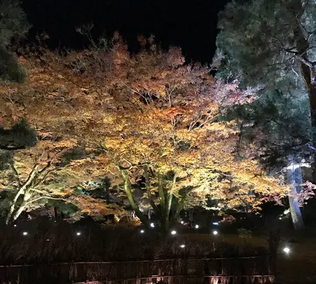 宝厳院の写真・動画_image_375909