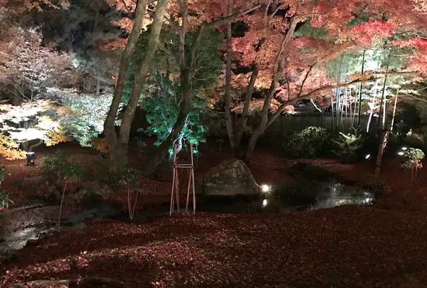 宝厳院の写真・動画_image_375910