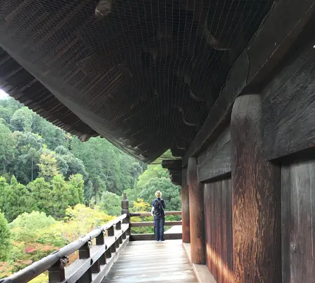 南禅寺の写真・動画_image_375916