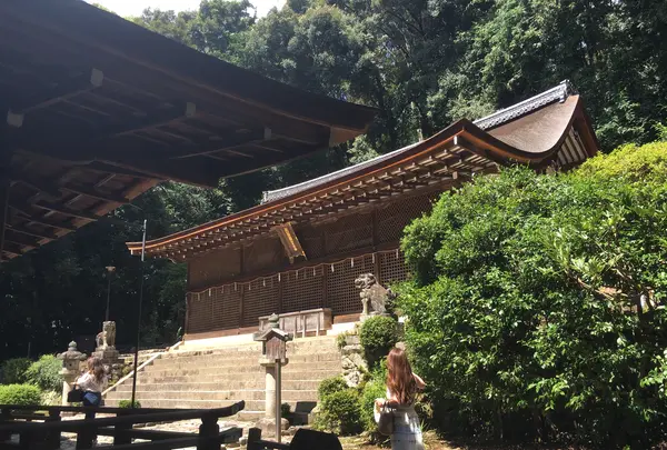 宇治上神社の写真・動画_image_375936