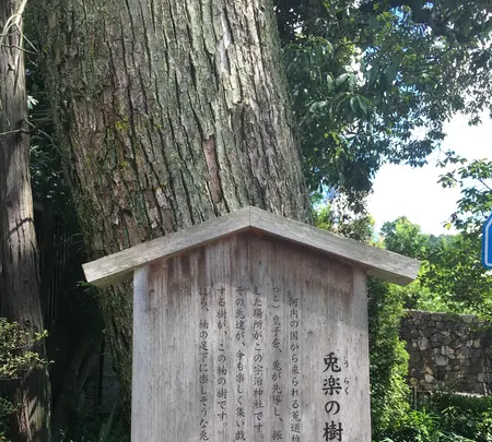 宇治神社の写真・動画_image_375941