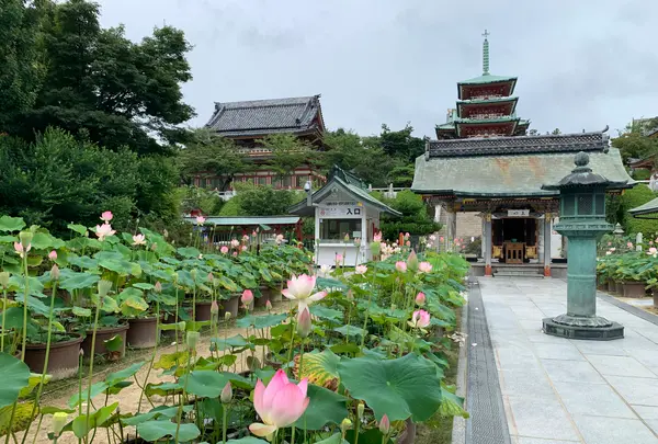 耕三寺・耕三寺博物館の写真・動画_image_376165