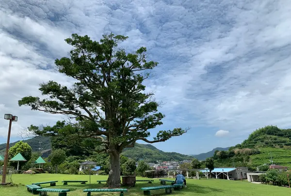 尾道市因島フラワーセンターの写真・動画_image_376175